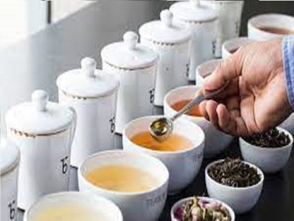 wholesale tea suppliers in india
